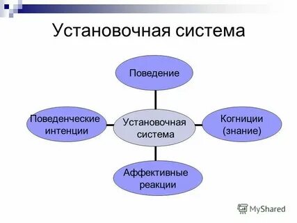 Структура организация и поведение систем