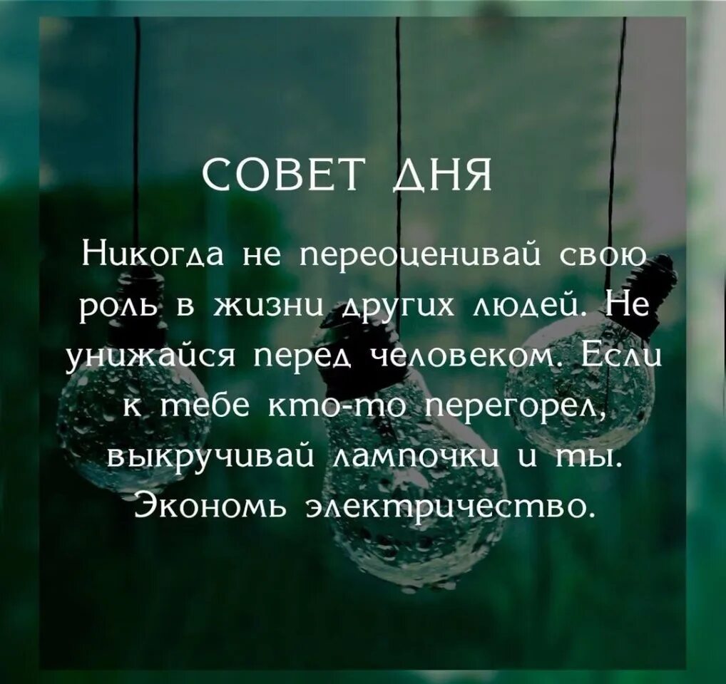 Она повторяла свою роль. Совет дня цитаты. Совет жизненные высказывания. Цитаты про советы. Советы статусы.