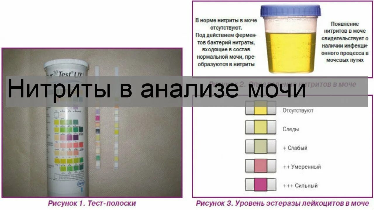 Нитриты анализ