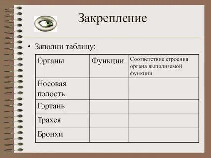 Заполните таблицу органы дыхания