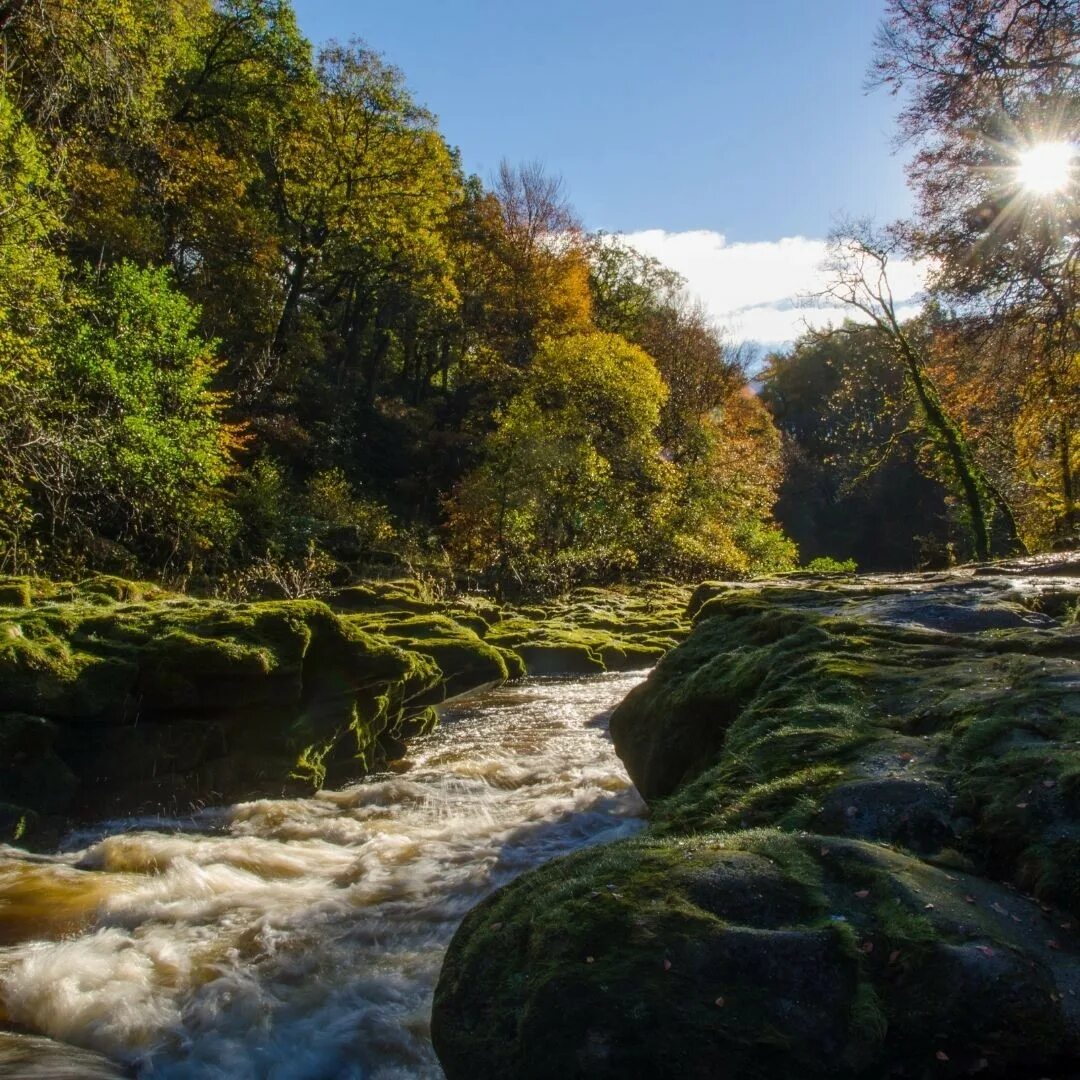 Болтон стрит ручей. Болтон стрид река. Река в болтон эбби. Stream street. Болтон стрит ручей.