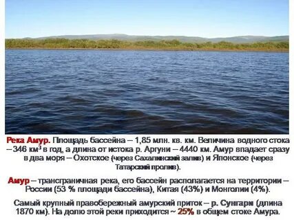 Система реки амур