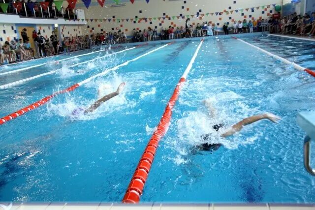 маи бассейн. бассейн коралл киров. бассейн ул кирова. щёлково7 бассейн дельфин. фок звездный арзамас бассейн.