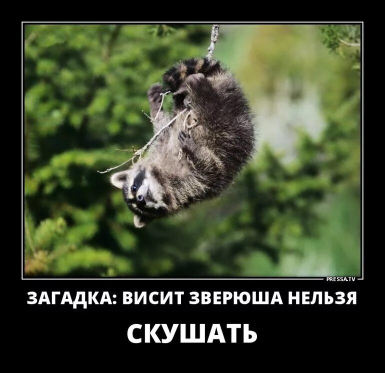 Загадка то висячий то