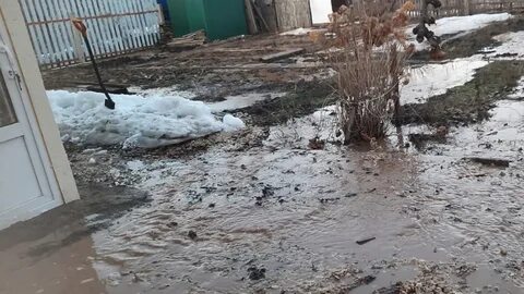 Затопило канализацией