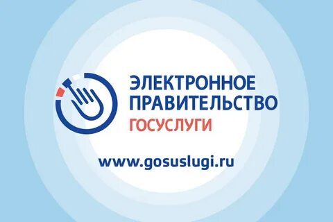 Электронное правительство в 2010 году