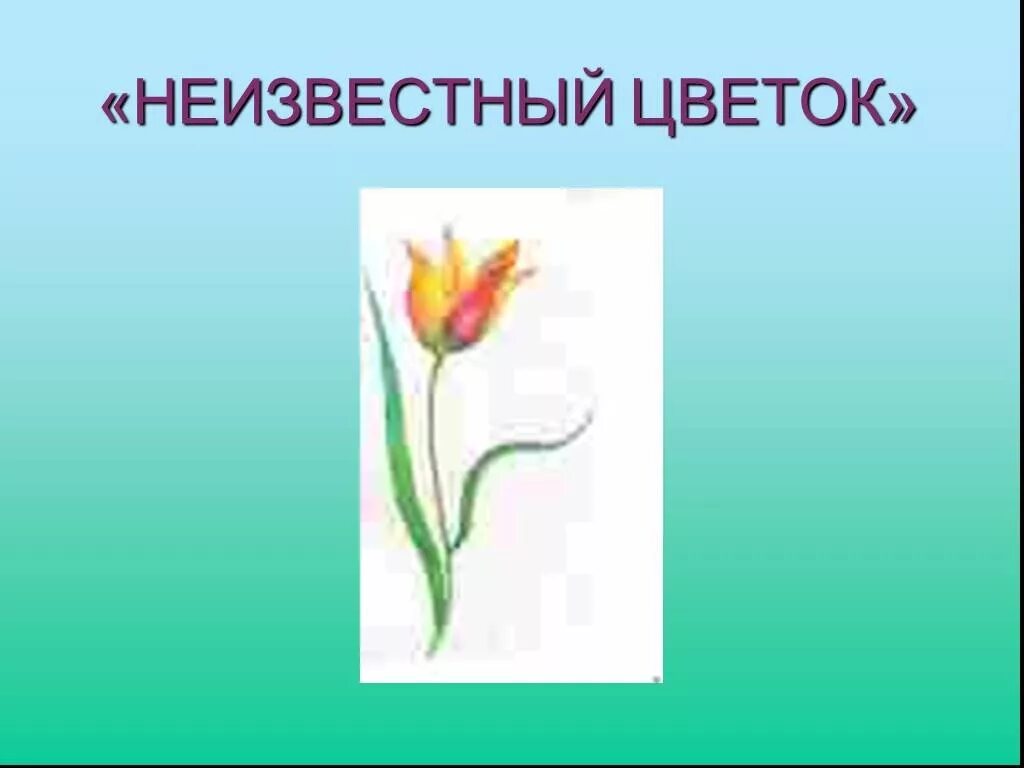 Как жил неизвестный цветок. Неизвестный цветок. Платонов а. "неизвестный цветок". Неизвестный цветочек рисунок. Произведение неизвестный цветок.