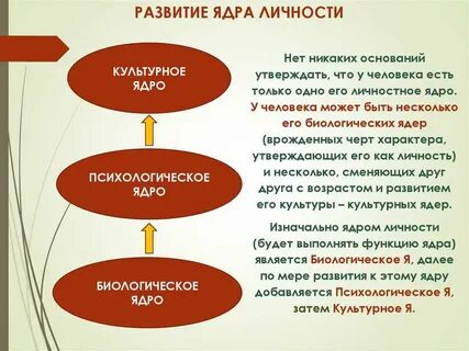 Ядро общество