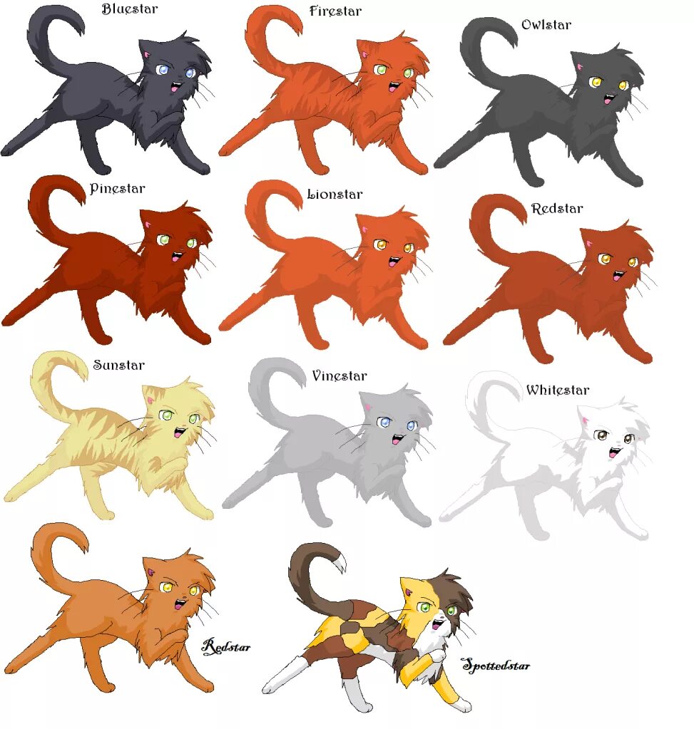 Warrior cats clans. Warriors Cats THUNDERCLAN. Имя для кошки Warriors Cats. Warrior Cats leaders.