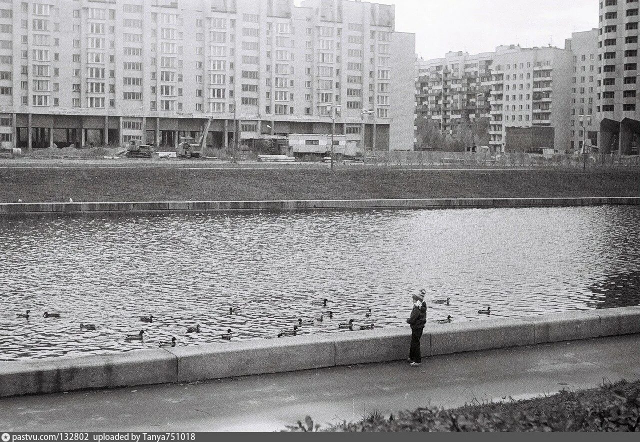 Остров Декабристов 1970. Остров голодай в Санкт-Петербурге. Новосмоленская набережная 1970. Остров Декабристов голодай.