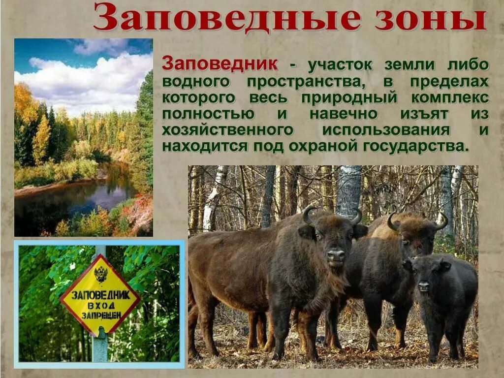 В каком городе обитает