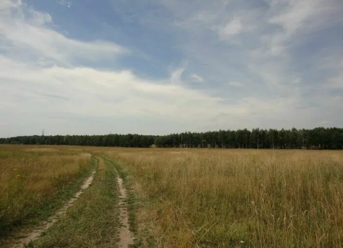 Деревня аринино. Деревня аринино московская область.