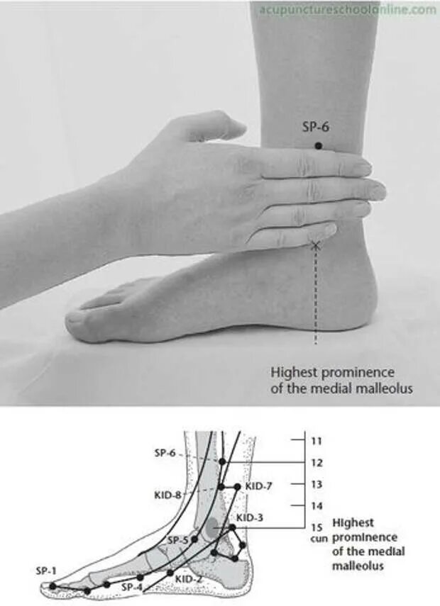 Фотографии 6 точки. Точка rp6 Сань-Инь-Цзяо точка. Точка Сань Инь Цзяо (6 Rp). Sp6 точка акупунктуры. Точка sp6 акупунктурная.