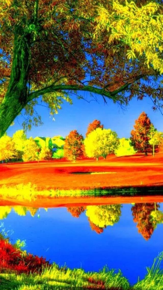 Красочная природа. Красивейшая природа. Картинки красочные природа. Яркие пейзажи природы. Красота природы.