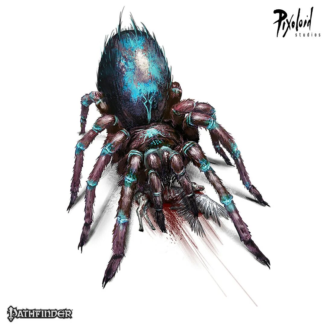 Фазовый паук матриарх. Гигантский паук днд. фазовый паук pathfinder. паук аранеус спидер. волк паук днд.