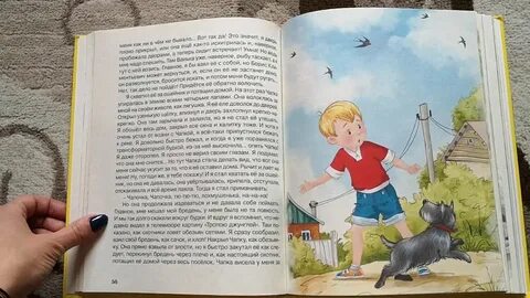 Произведение похититель собак