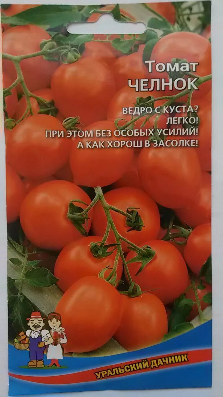 Семена томат челнок. Сорт помидор челночок. Семена помидор челнок. Томат челнок ультраранний.