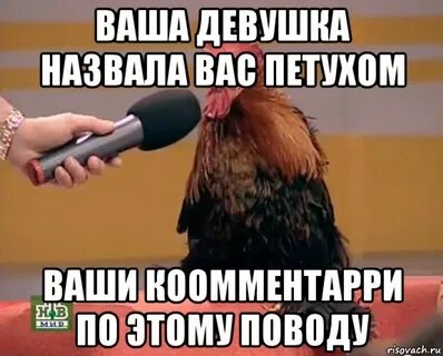 Отвечайте петухи