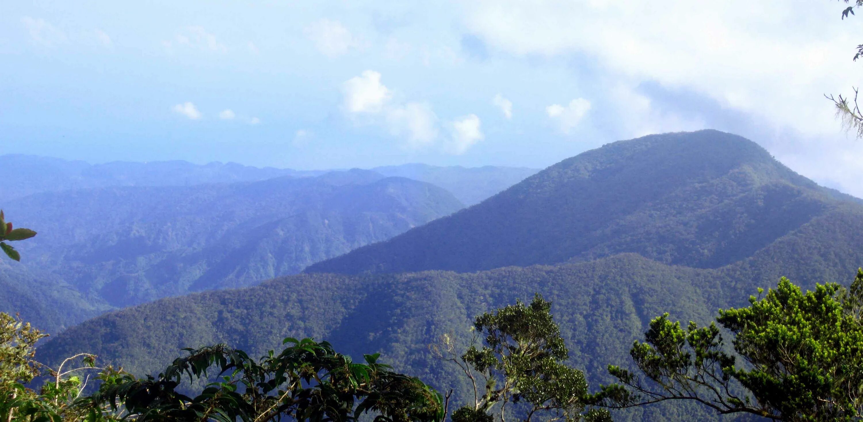 Z view. Блу-Маунтинс (Ямайка). Голубые горы Ямайка. Блу-Маунтин-пик. Голубые горы и горы Джона Кроу Ямайка.