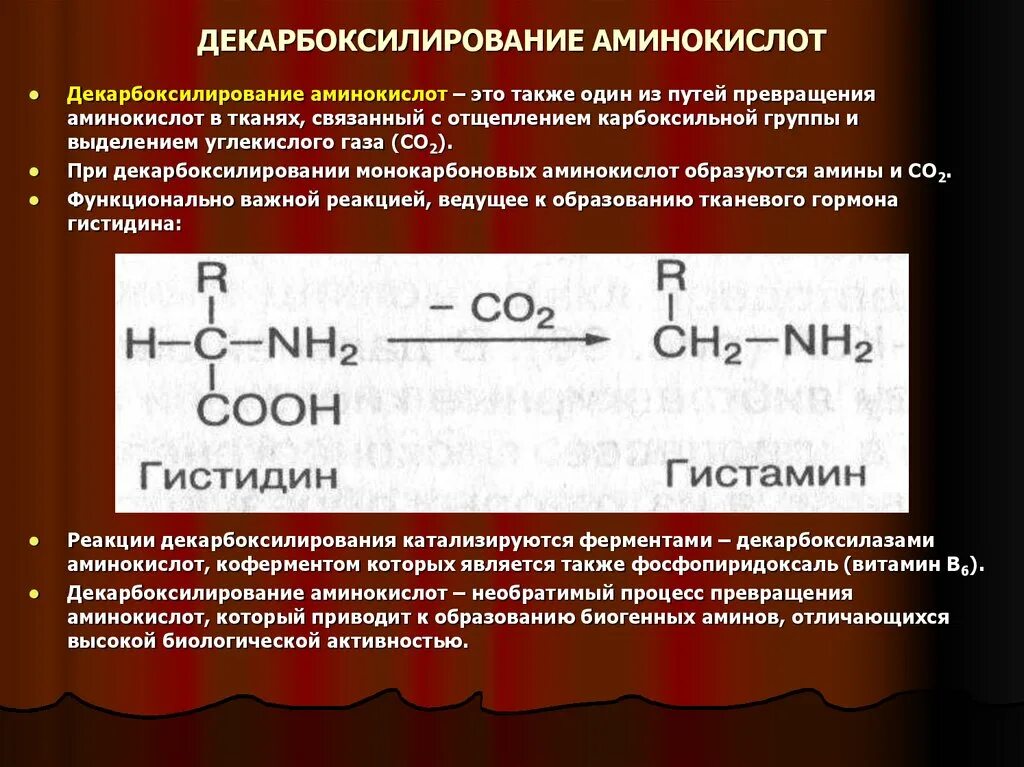 Продукты реакции декарбоксилирования аминокислот:. Декарбоксилирование 2-аминопентандиовой кислоты. Декарбоксилирование аминокислот биологическая роль. Декарбоксилирование треонина реакция. Что является продуктом реакции