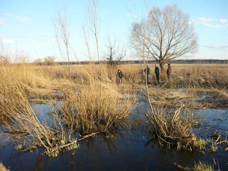 Погода село костино курманаевского. Ромашкино Курманаевский район. Село Ромашкино Оренбургская область. Костино Оренбургская область. Костино Курманаевский район Оренбургская область.