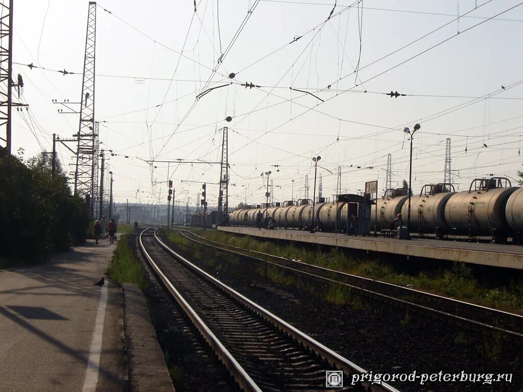 мга рыбацкое завтра