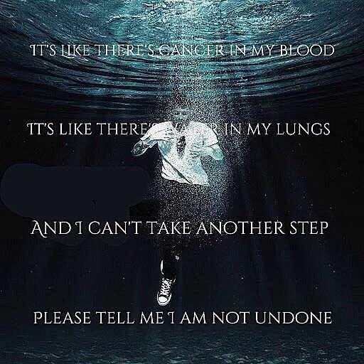 Take another me