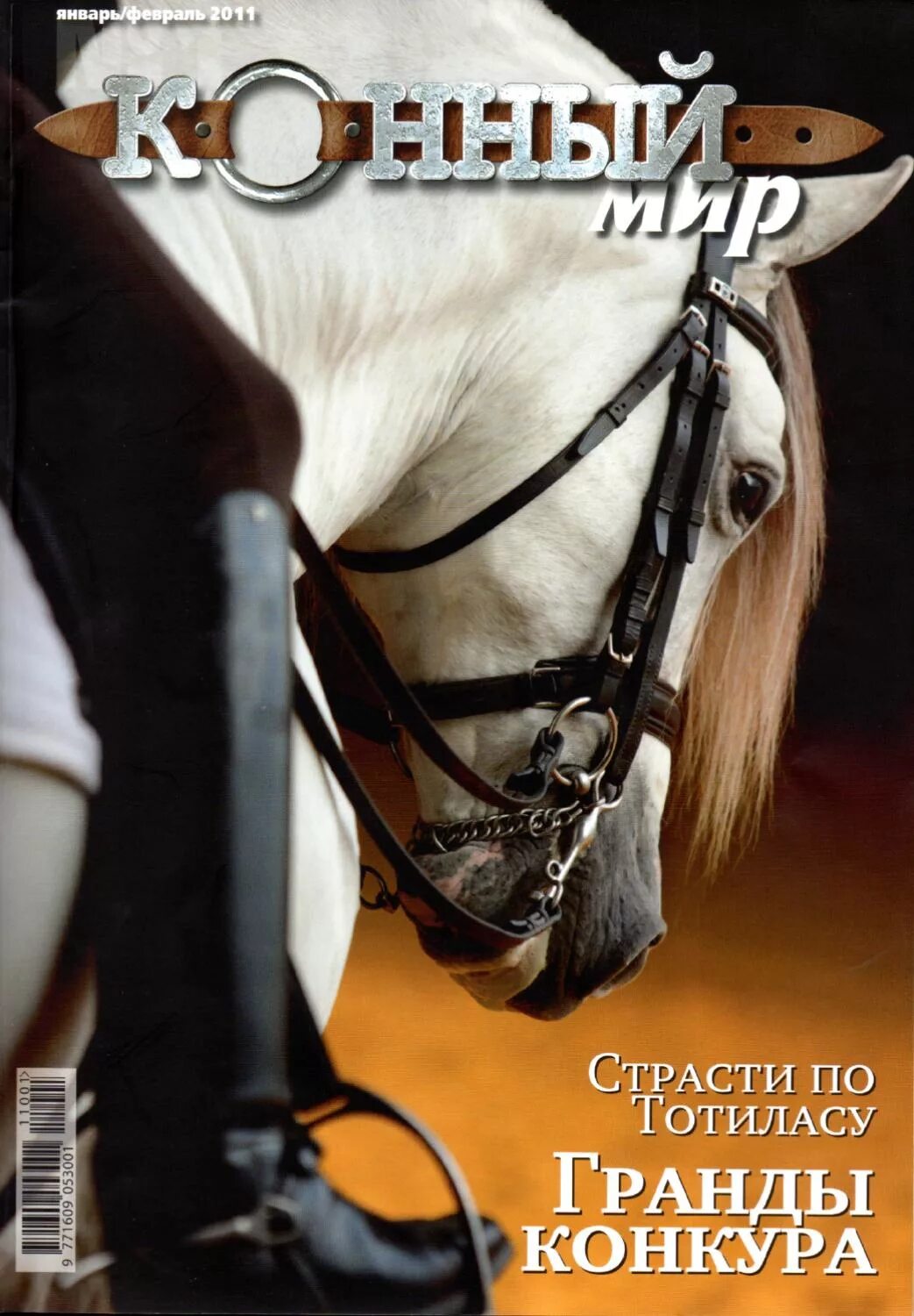 Обложка лошади. Журнал конный мир. Журнал про лошадей. Журнал про конный спорт. Журнал про лошадей конный мир.