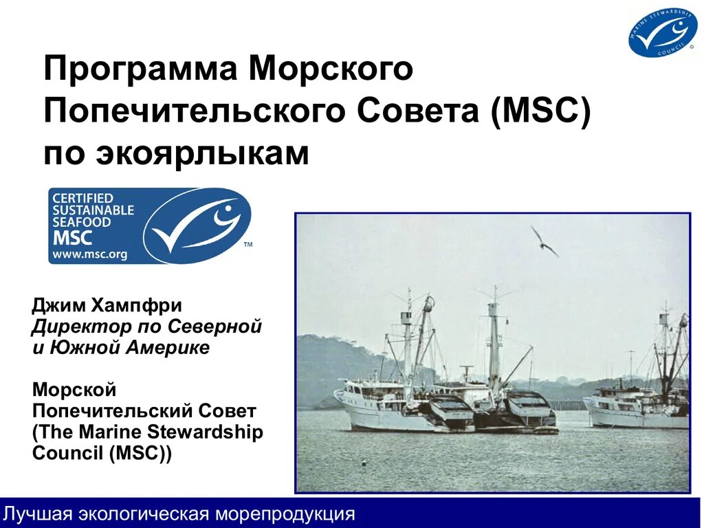 Программа морская. Морского попечительского совета (msc). морской попечительский совет в россии. морская программа. msc сертификация.
