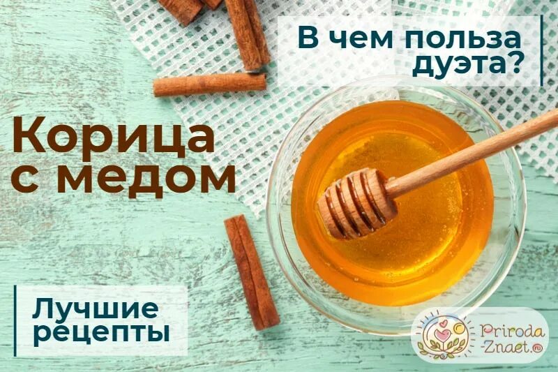 Корица отзывы похудевших. Корица с медом для похудения. чем полезна корица с медом. чем полезна корица. корица с мёдом рецепт.