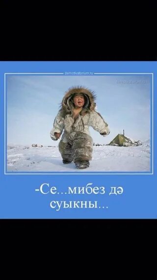 Мы помчимся утром ранним песня. Я уеду в тундру. и поедем и помчимся на оленях утром ранним текст. мы отчаянно ворвемся - прямо в снежную зарю!. мы поедем мы помчимся на оленях утром ранним текст.