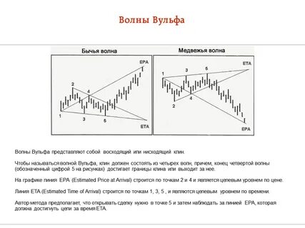 Меня нет вульфа