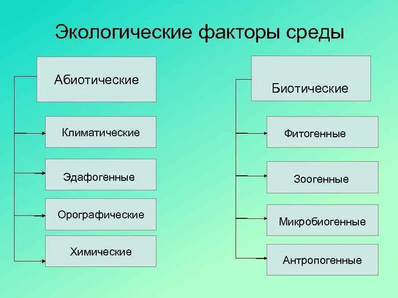 К природным факторам относятся. Фитогенные биотические факторы. Экологические факторы биотические фитогенные. Биотические факторы экологические факторы. Биотические факторы фитогенные зоогенные микробиогенные.