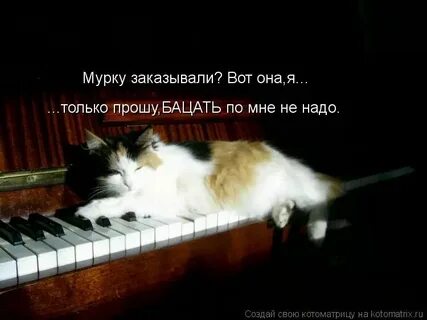 Песню кошка мурка
