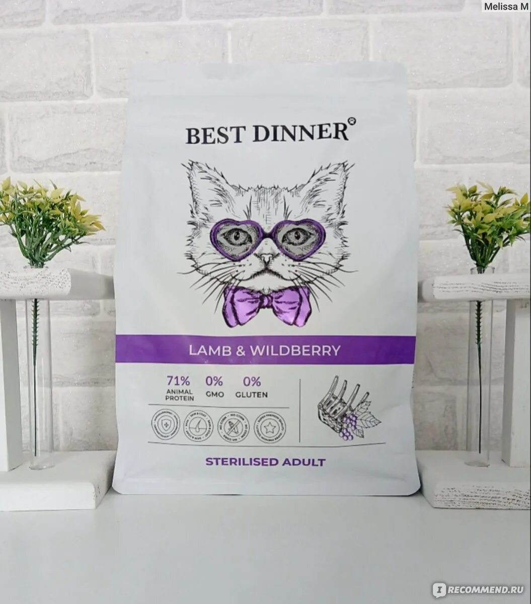 Best dinner для кошек отзывы ветеринаров