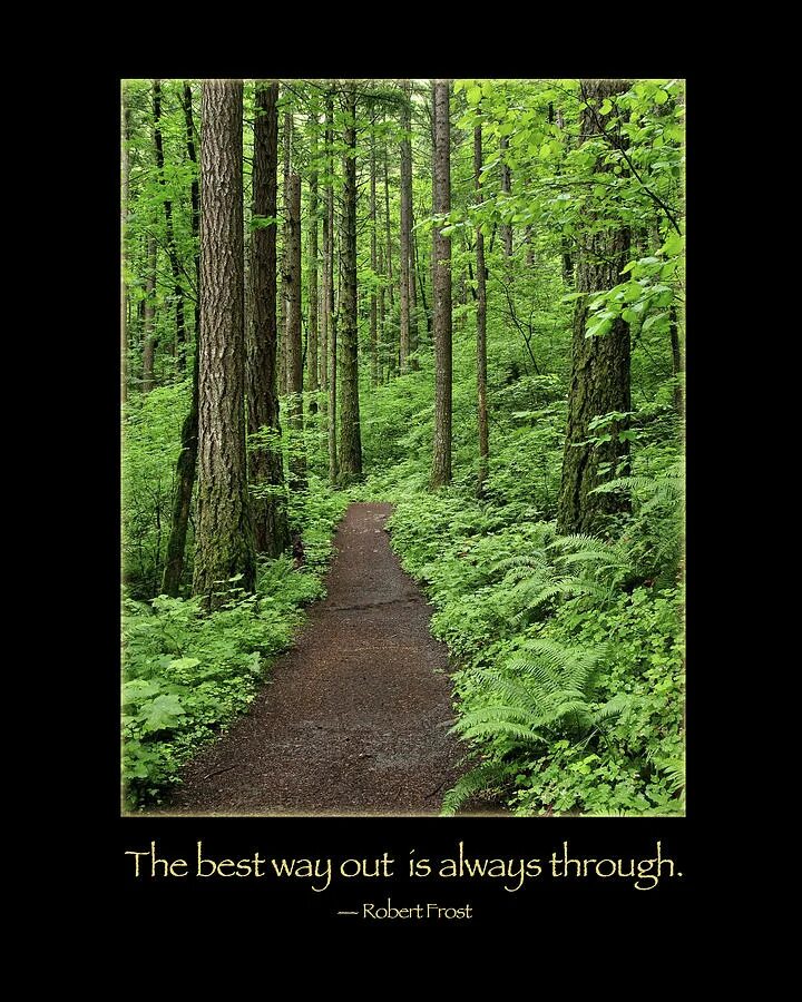 Best way out is. The best way out is always through. Роберт Фрост другая дорога. Самый лучший выход всегда через Роберт Фрост. Out is through.