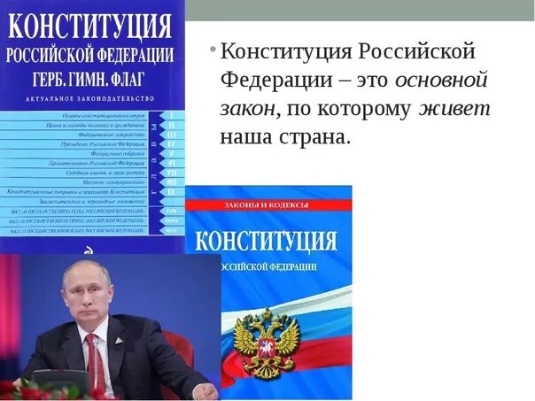 В какой конституции мы живем. День конституции слайды. закон по которому мы живем.