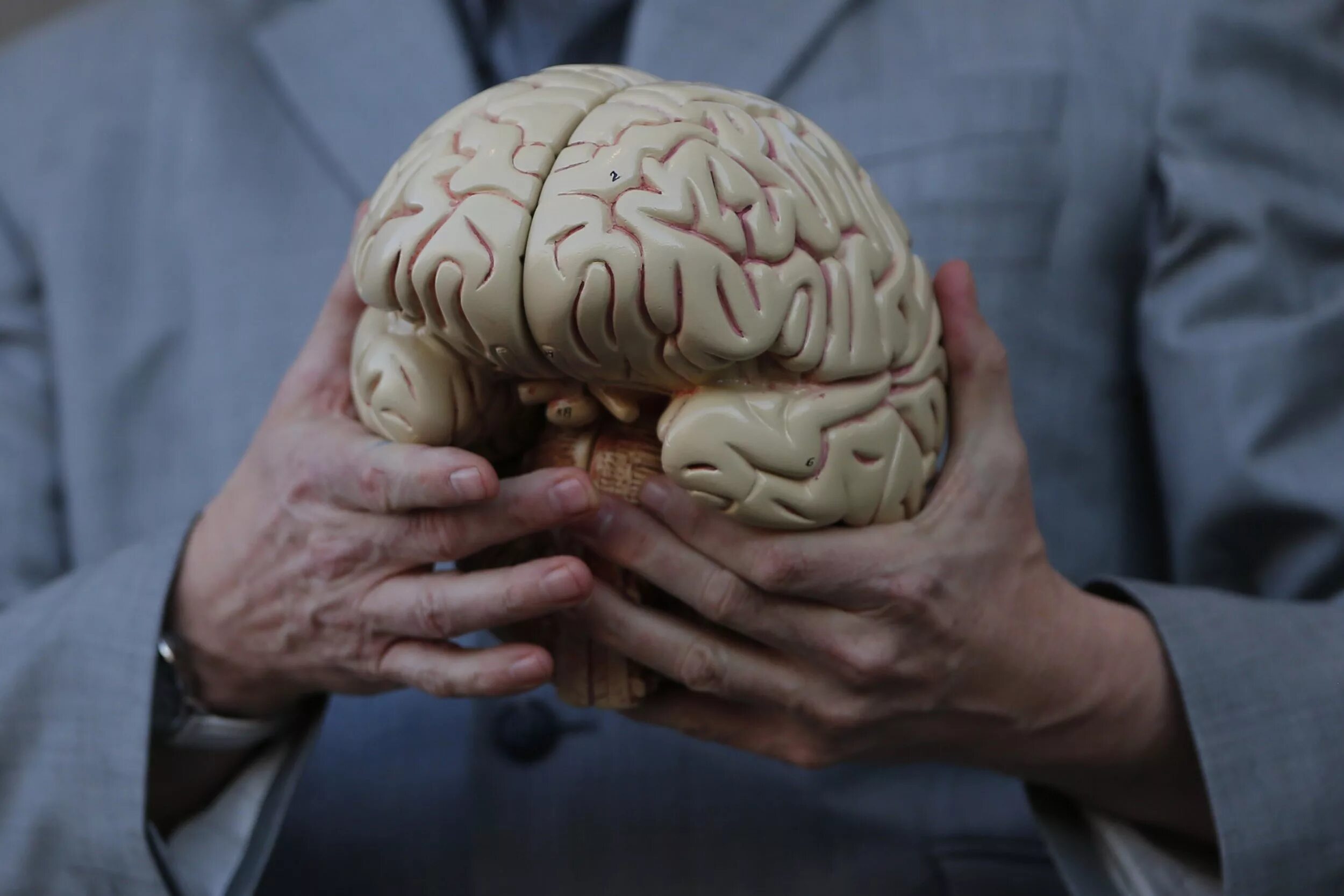 Мозг в старости. Brain disease