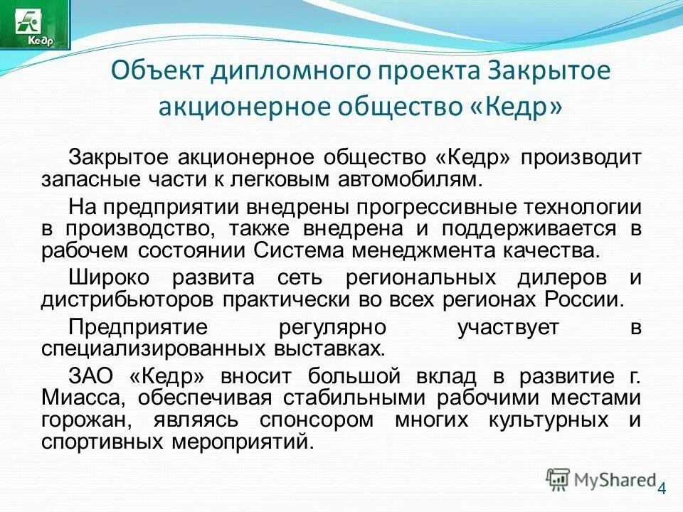 кедр короткохвойный. якусимский кедр. общество кедр. общество кедр. кедр проект.