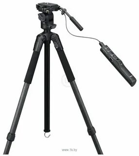 Vct vpr 1