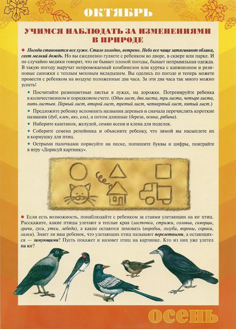 Родительский уголок старшая группа. Материал для родительского уголка в средней группе. Материал для родительского уголка в старшей группе. Материалы для оформления родительского уголка в старшей группе. Материал в родительский уголок в подготовительной группе.