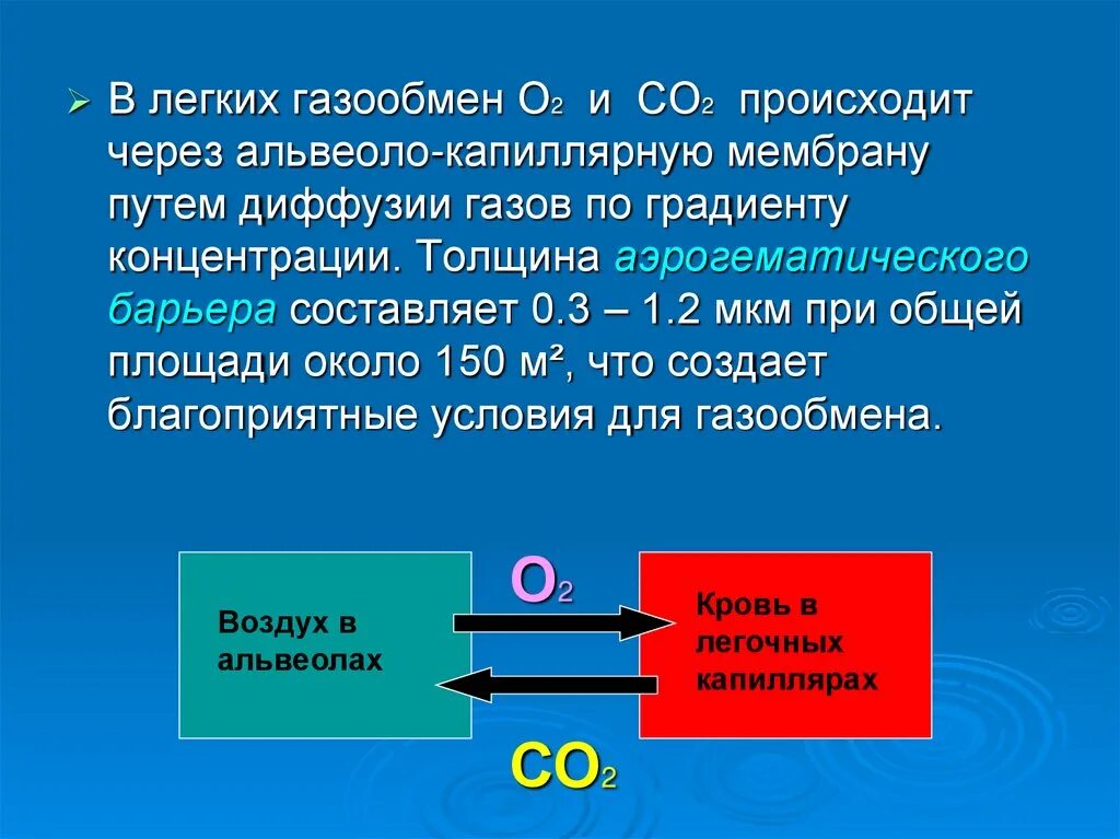 При диффузии газов в легких происходит. Газообмен происходит через. При градиенте концентрации в системе наблюдается. Транспорт кислорода в организме. Газообмен через альвеоло – капиллярную мембрану.