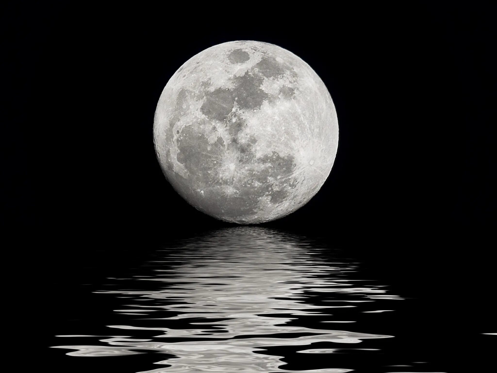 Лунный пейзаж. Your full moon. Полнолуние на английском. Ночное озеро. Дерево на фоне луны.
