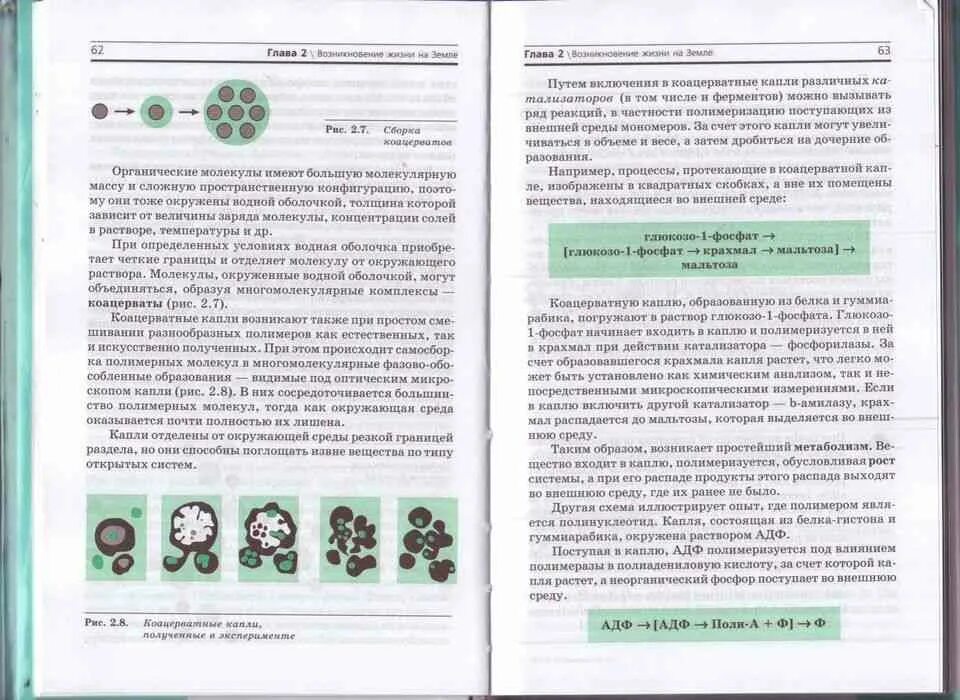 Темы по биологии 10 11