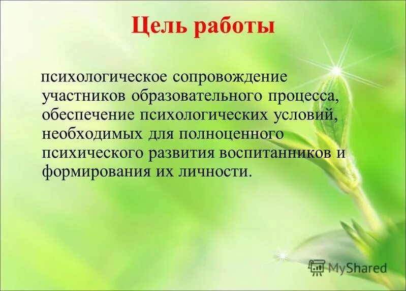 Психологическое сопровождение. Психологическое обеспечение и психологическое сопровождение. Психологическесопровождении. Оперативно-служебная деятельность. Психологическое обеспечение и психологическое сопровождение.