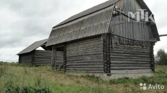 Дачи в бокситогорском районе. Тушемля Ленинградская область. Бокситогорский район деревня Черницы. Деревня Тушемля Бокситогорский район. Городище Тушемля.