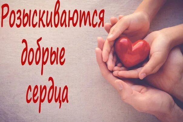 Сбор стоит. Поступлений нет. поступлений нет картинки. поступлений сегодня нет. поступлений нет сбор стоит.