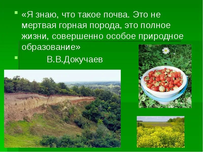 Лессовидные и покровные суглинки. Почва это горная порода. Почвообразующие (материнские) породы. Почва это горная порода. Почва это горная порода.