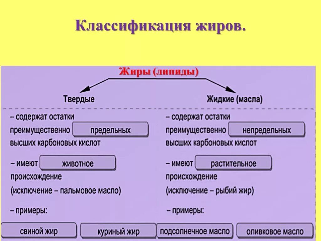 1 группа жиры