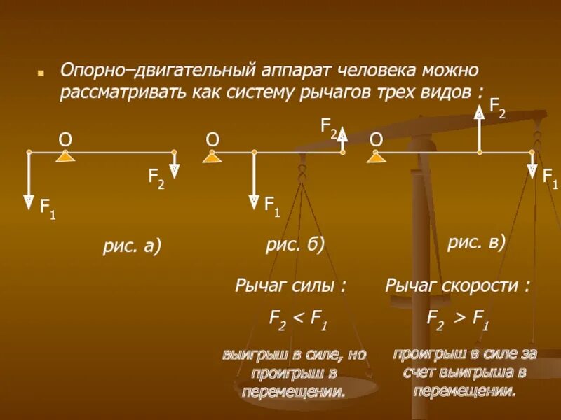 Во сколько раз проиграли в силе. Рычаг. Разновидности рычага. Рычаг 3 рода.